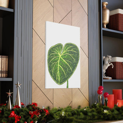 Philodendron Gloriosum Canvas, Canvas, Laura Christine Photography & Design, Art & Wall Decor, Canvas, Hanging Hardware, Home & Living, Indoor, Laura Christine Photography & Design, 