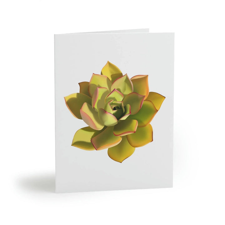Noble Aeonium Succulent Greeting Card, Paper products, Printify, Greeting Card, Holiday Picks, Home & Living, Paper, Postcard, Postcards, Laura Christine Photography & Design, laurachristinedesign.com