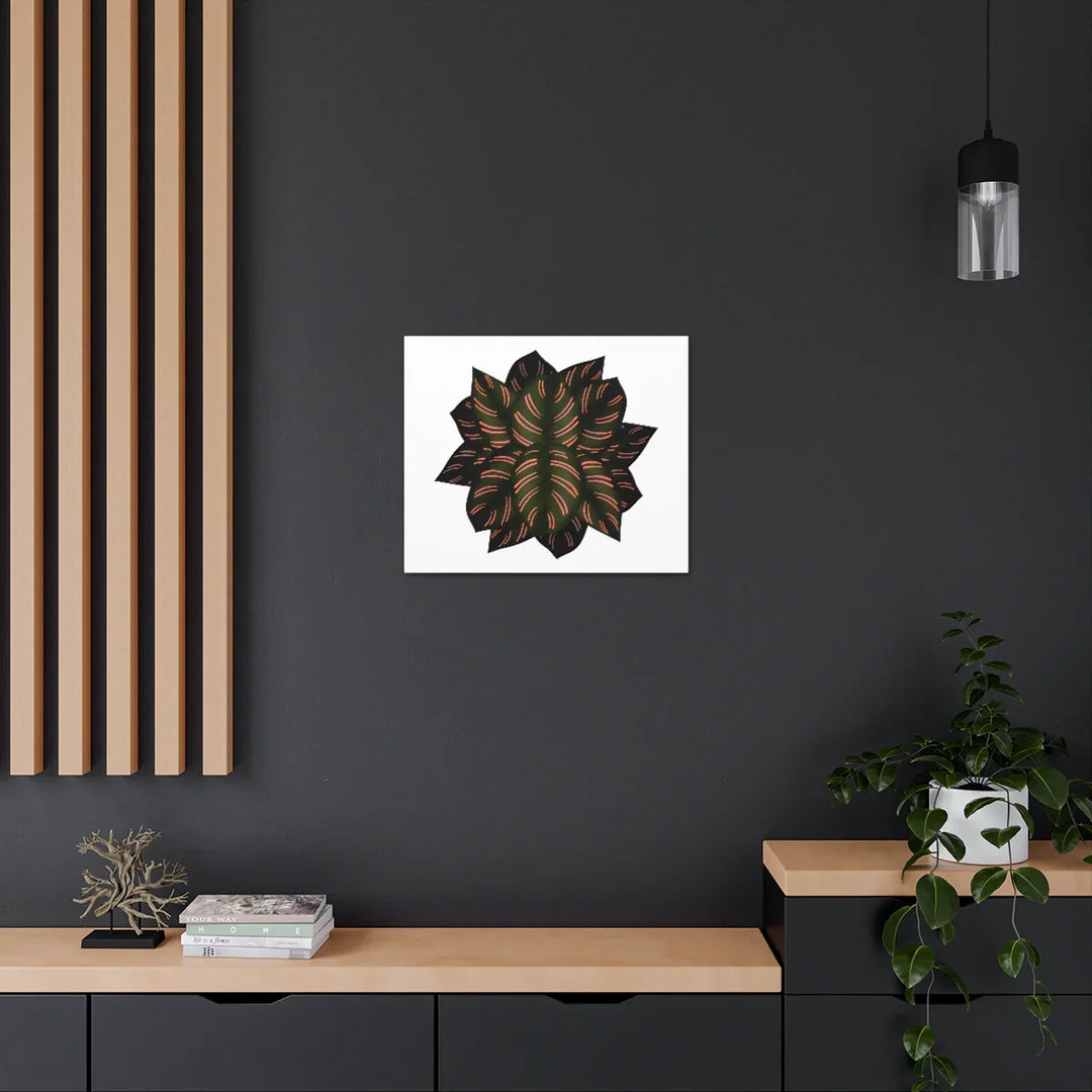 Calathea Pinstripe Canvas – Botanical Canvas Art Print | Matte Finish Wall Decor