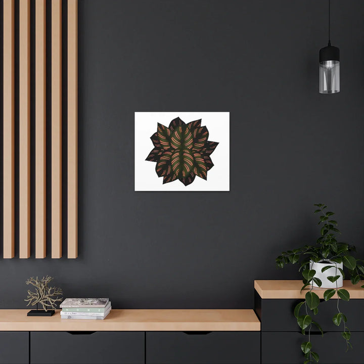Calathea Pinstripe Canvas – Botanical Canvas Art Print | Matte Finish Wall Decor