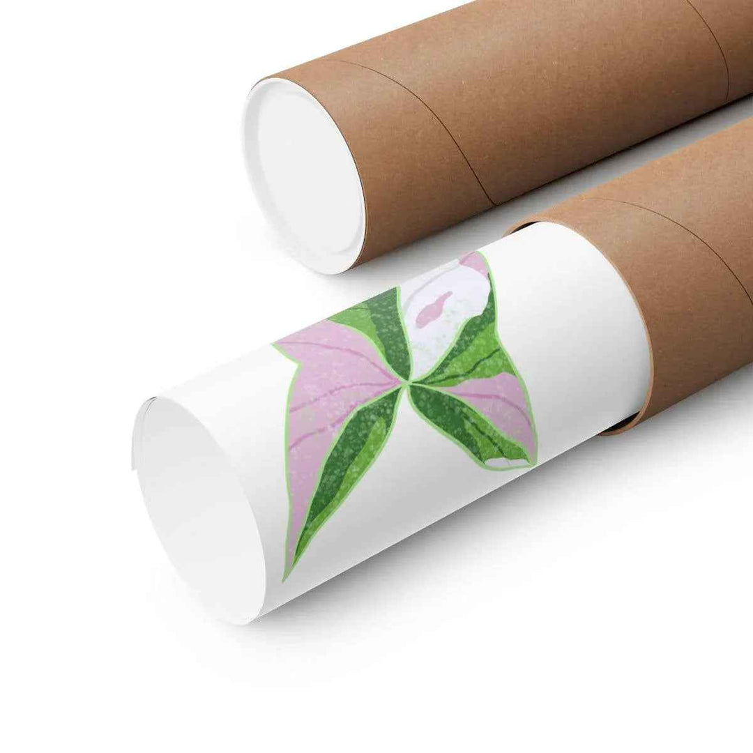 Syngonium Tricolor Print – Botanical Wall Art | Variegated Leaf Poster Unframed