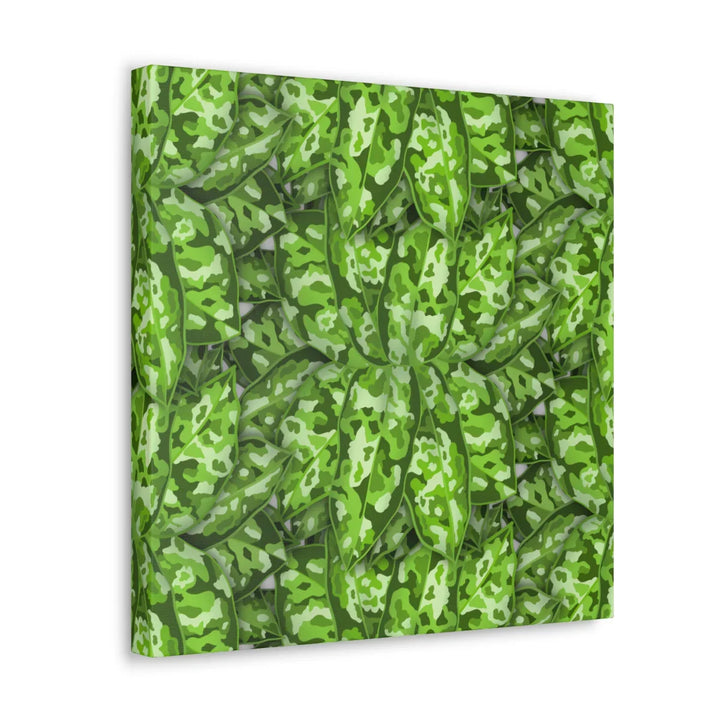 Aglaonema Pictum Canvas - Rare Camouflage Leaf Print Canvas Art Print