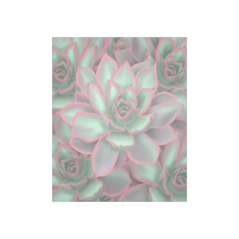 Echeveria Violet Queen Succulent Print, Poster, Laura Christine Photography & Design, Back to School, Home & Living, Indoor, Matte, Paper, Posters, Valentine&