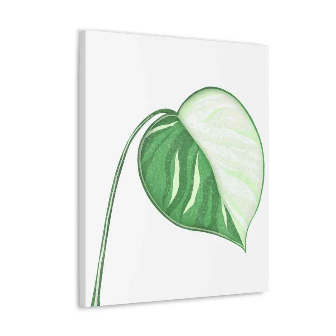 Monstera Albo Canvas | Large Tropical Leaf Artwork - Matte Finish Canvas Art Print