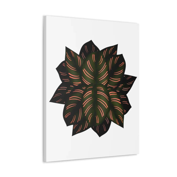 Calathea Pinstripe Canvas – Botanical Canvas Art Print | Matte Finish Wall Decor