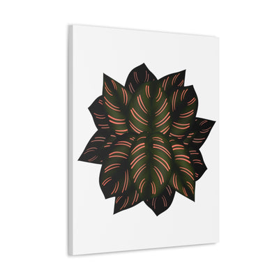 Calathea Pinstripe Canvas