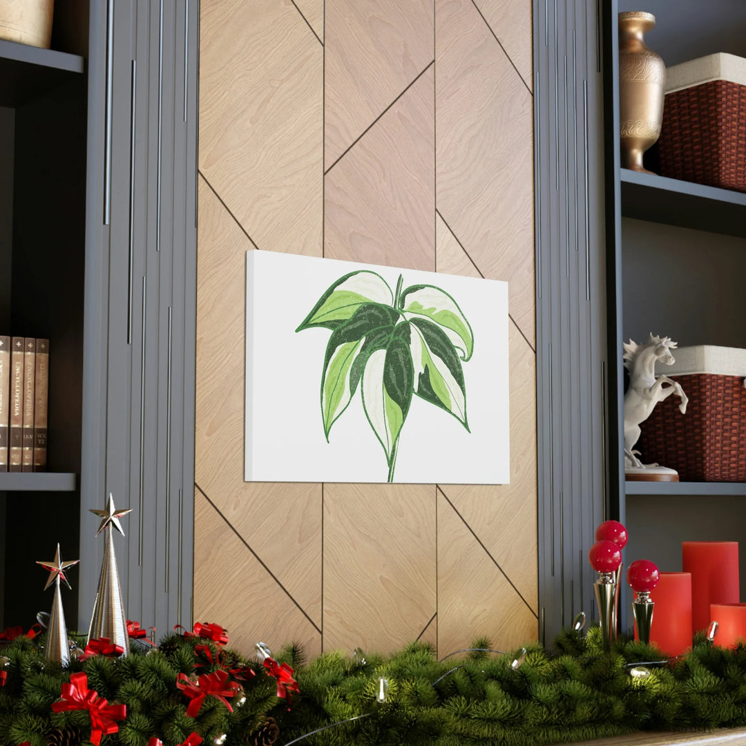 Philodendron Canvas Print - Cream Splash Variegated Plant Art on Matte Cotton Canvas