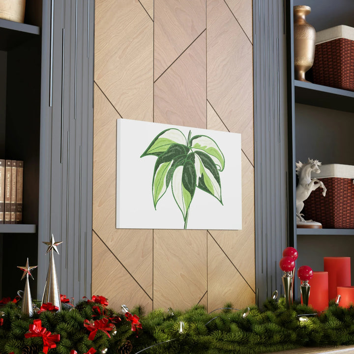 Philodendron Canvas Print - Cream Splash Variegated Plant Art on Matte Cotton Canvas