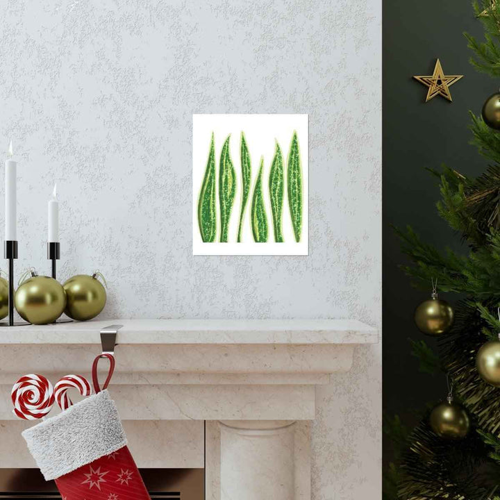 Snake Plant Print – Large Botanical Wall Art Poster | Matte Finish | Unframed