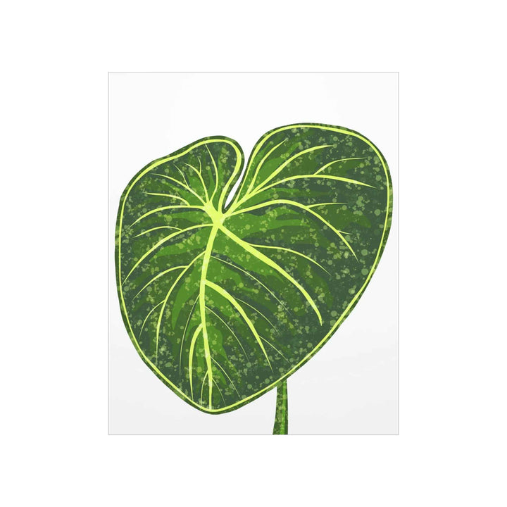 Philodendron Gloriosum Print Botanical Wall Art – Tropical Leaf Poster on Museum-Grade Paper Unframed