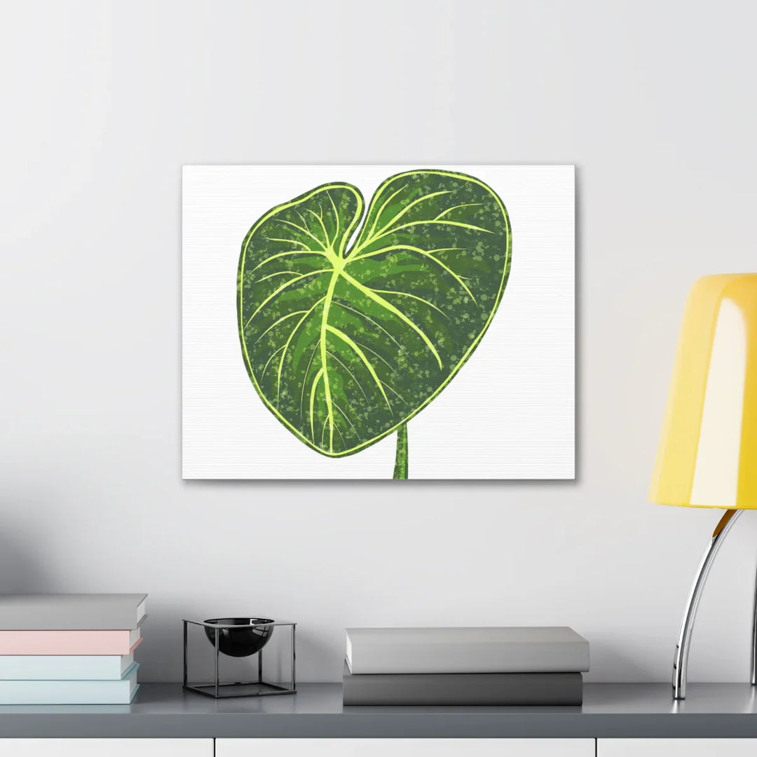 Philodendron Gloriosum Canvas - Stretched Canvas Art Print | Matte Indoor Wall Art - Laura Christine Photography & Design