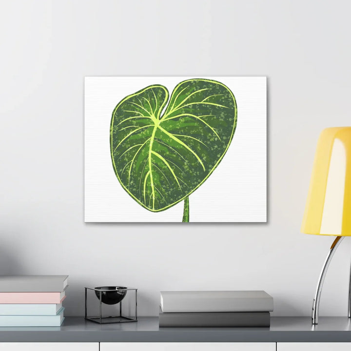 Philodendron Gloriosum Canvas - Stretched Canvas Art Print | Matte Indoor Wall Art - Laura Christine Photography & Design