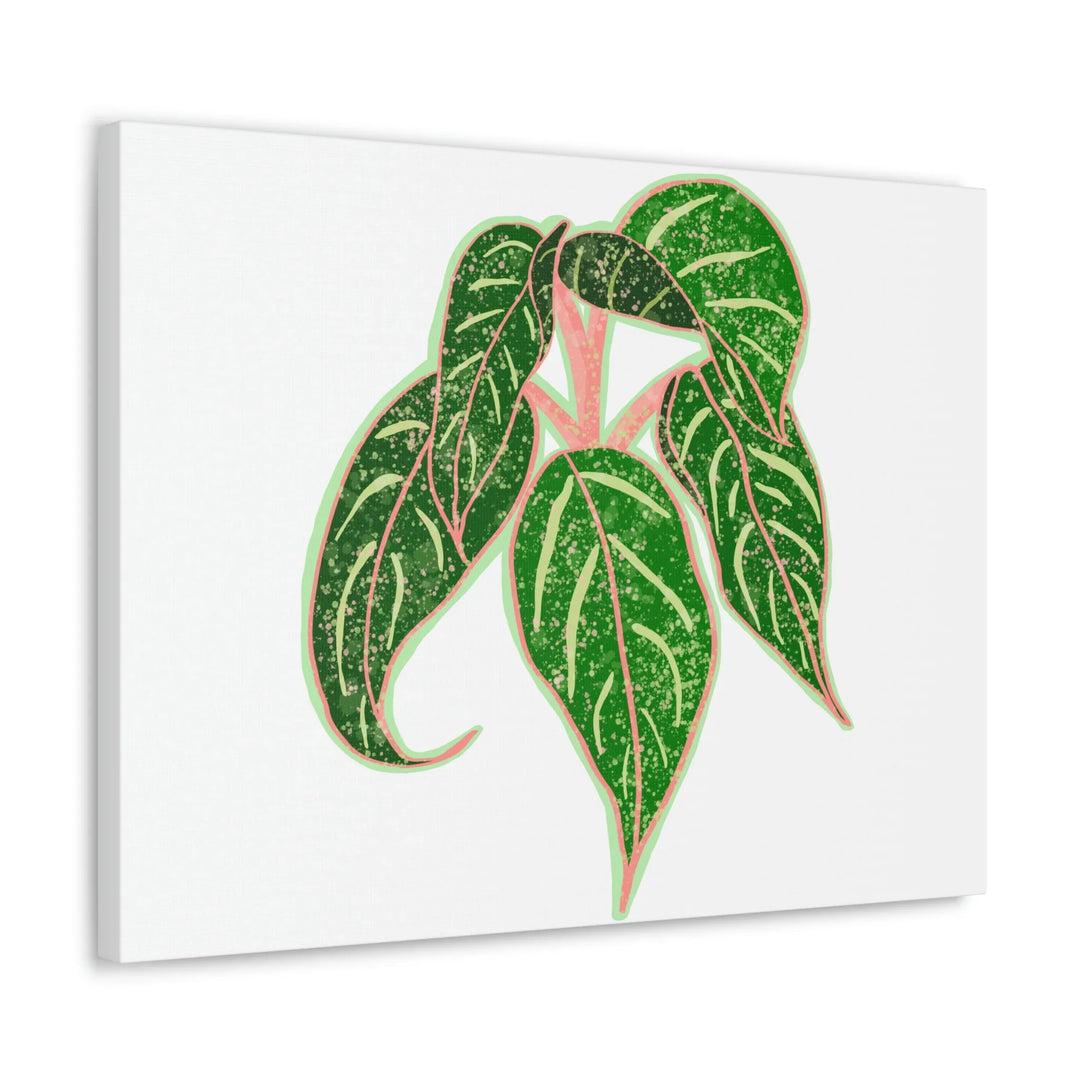 Aglaonema Plant Canvas | Sparkling Plant Artwork - Colorfast Canvas Art Print Decor