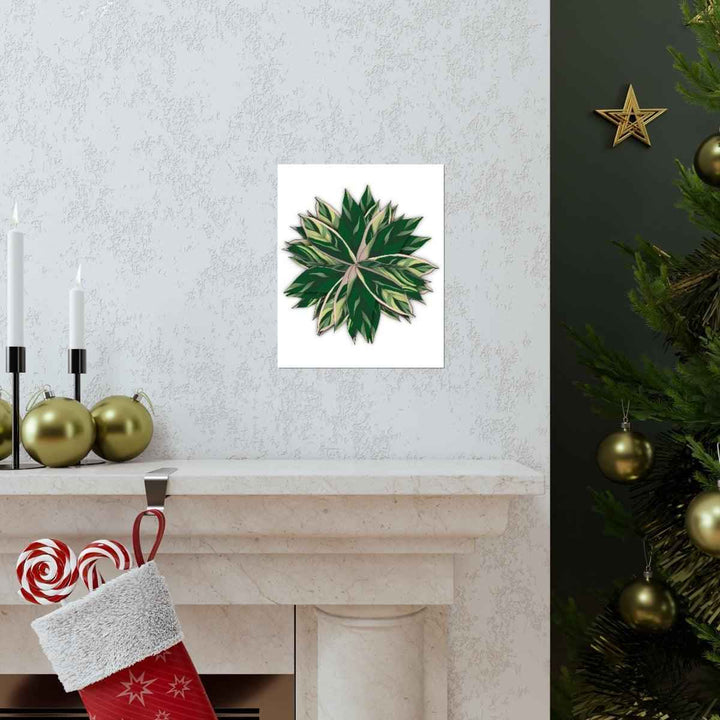 Stromanthe Triostar Print – Tropical Wall Art | Botanical Poster on Museum Grade Paper Unframed