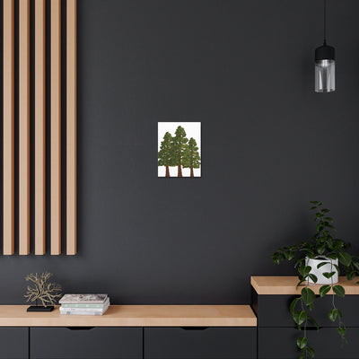 Coastal Redwoods Canvas