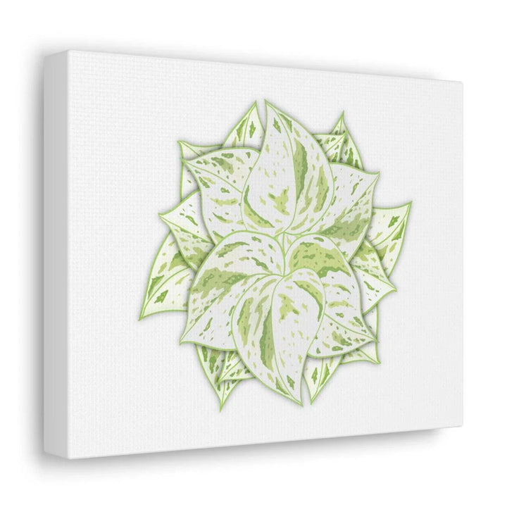 Snow Queen Pothos Canvas – Variegated Leaf Canvas Art Print | Durable Cotton - Laura Christine Photography & Design