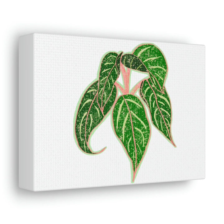 Aglaonema Plant Canvas | Sparkling Plant Artwork - Colorfast Canvas Art Print Decor