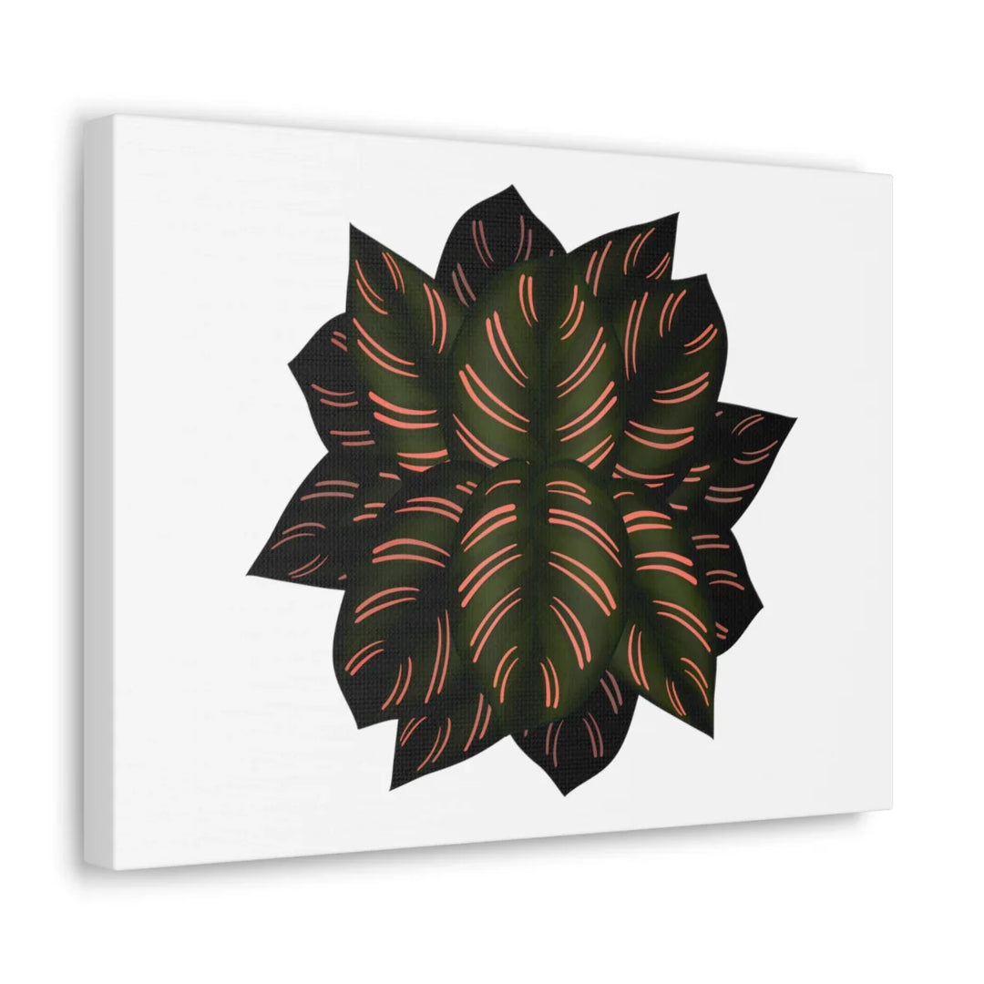 Calathea Pinstripe Canvas – Botanical Canvas Art Print | Matte Finish Wall Decor