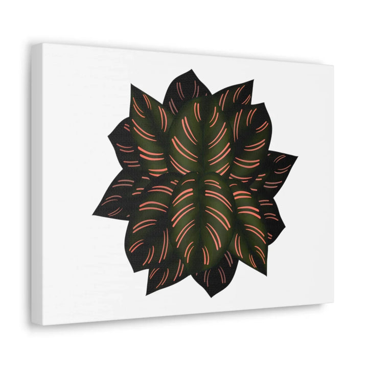 Calathea Pinstripe Canvas – Botanical Canvas Art Print | Matte Finish Wall Decor