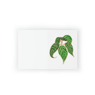 Tarjeta de felicitación de la planta Aglaonema (en blanco)