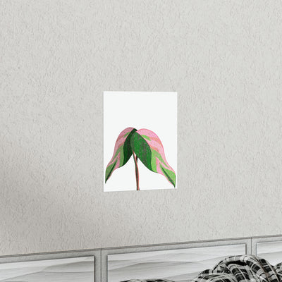 Pink Princess Philodendron Print