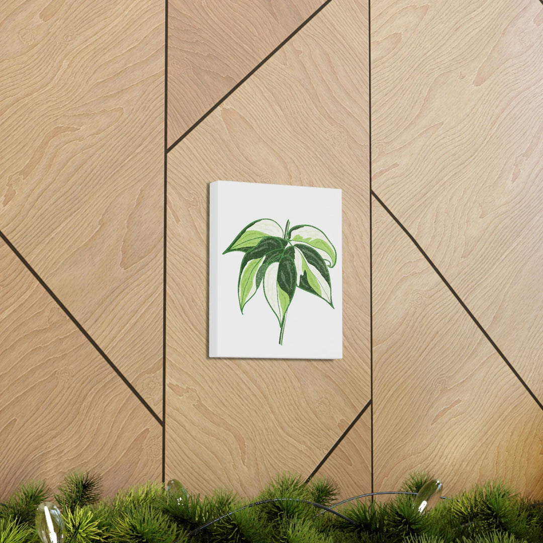 Philodendron Canvas Print - Cream Splash Variegated Plant Art on Matte Cotton Canvas