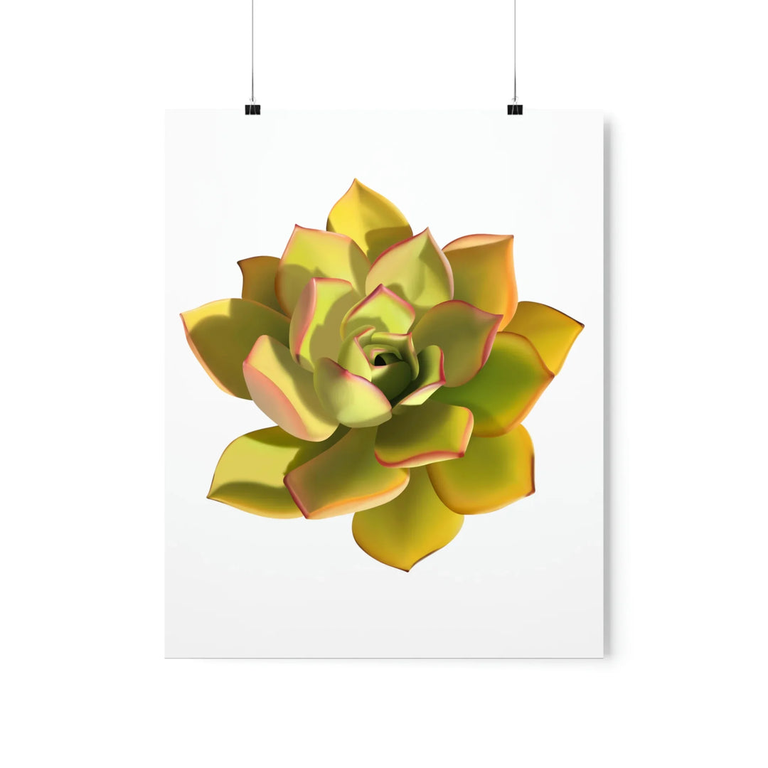 Noble Aeonium Print – Vibrant Succulent Wall Art on Museum-Grade Paper Poster Unframed