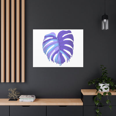 Melting Monstera, Purple - Canvas