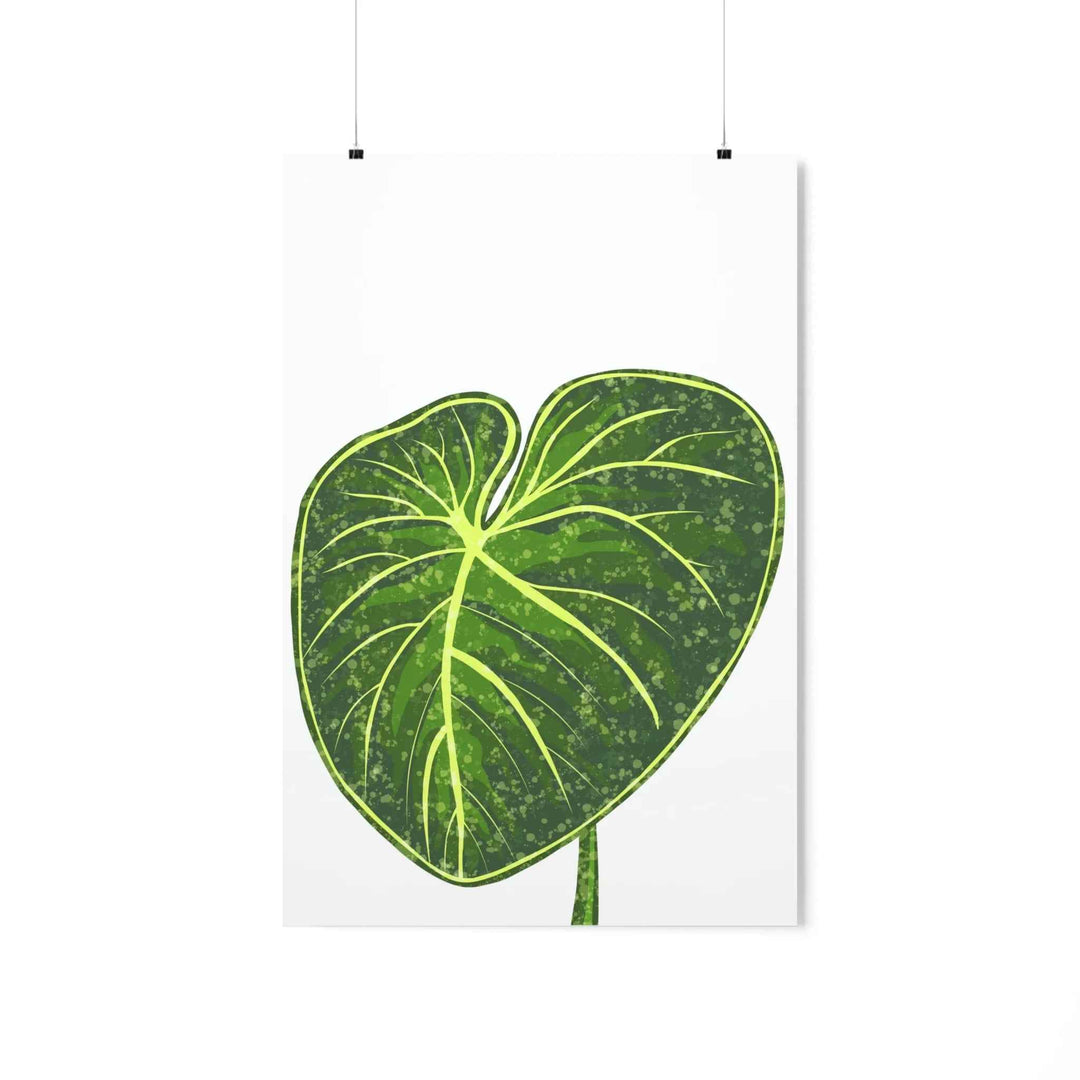 Philodendron Gloriosum Print Botanical Wall Art – Tropical Leaf Poster on Museum-Grade Paper Unframed