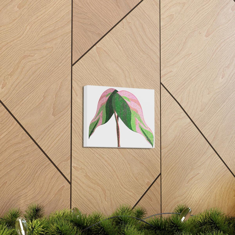 Pink Princess Philodendron Canvas, Canvas, Laura Christine Photography & Design, Art & Wall Decor, Canvas, Hanging Hardware, Home & Living, Indoor, Laura Christine Photography & Design, 