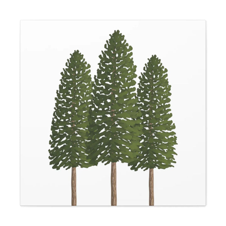 Ponderosa Pine Canvas - Large Stretched Cotton Canvas Art Print With Matte Finish
