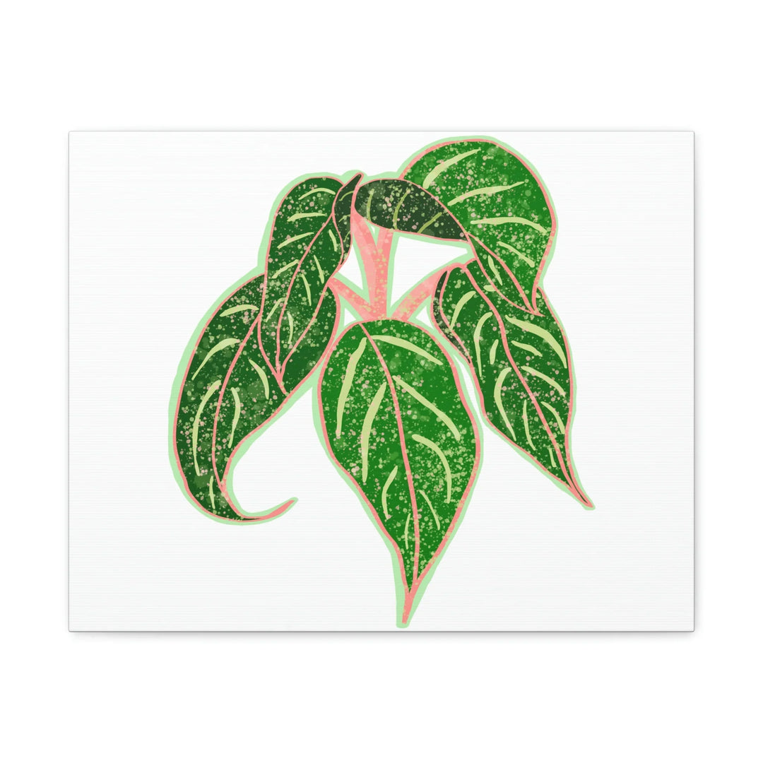 Aglaonema Plant Canvas | Sparkling Plant Artwork - Colorfast Canvas Art Print Decor