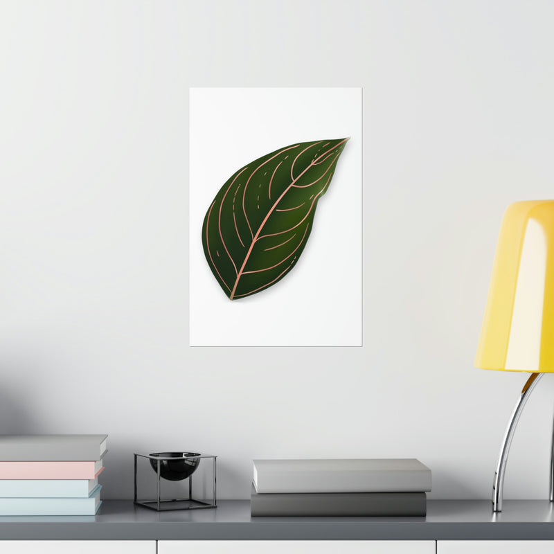 Aglaonema Rotundum Print