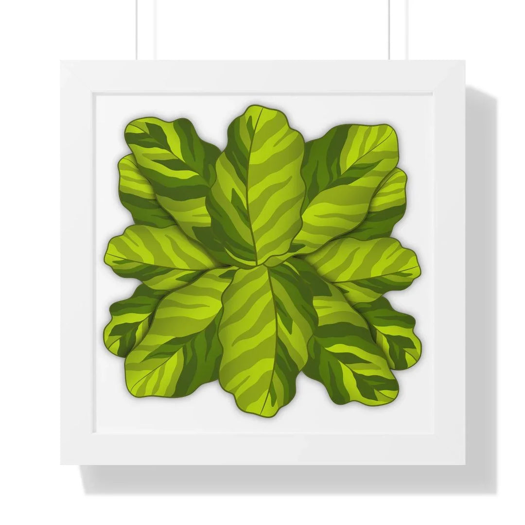 Calathea Yellow Fusion Framed Print, Poster, Laura Christine Photography & Design, Bottle, Calathea, Canvas Bag, Coffee, Drinkware, Framed, Home & Living, Indoor, Paper, Posters, Prayer Plant, Reusable, Shopping Bag, Tea, Tote Bag, Travel, Tumbler, Water, Yellow Fusion, Laura Christine Photography & Design, laurachristinedesign.com