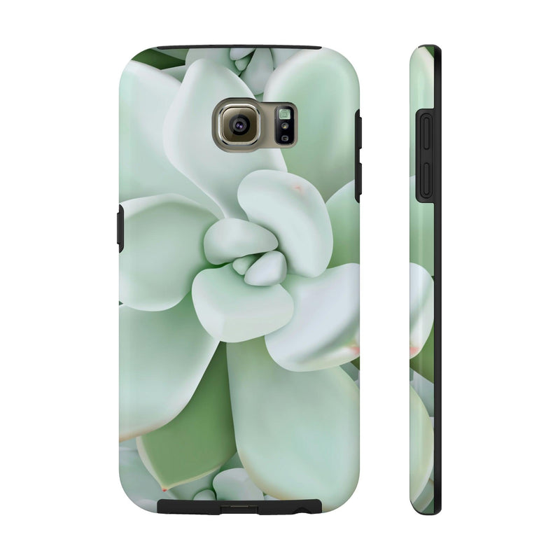 Pachyveria Haagei Succulent Phone Case, Phone Case, Printify, Accessories, Glossy, iPhone Cases, Matte, Phone accessory, Phone Cases, Samsung Cases, Laura Christine Photography & Design, laurachristinedesign.com