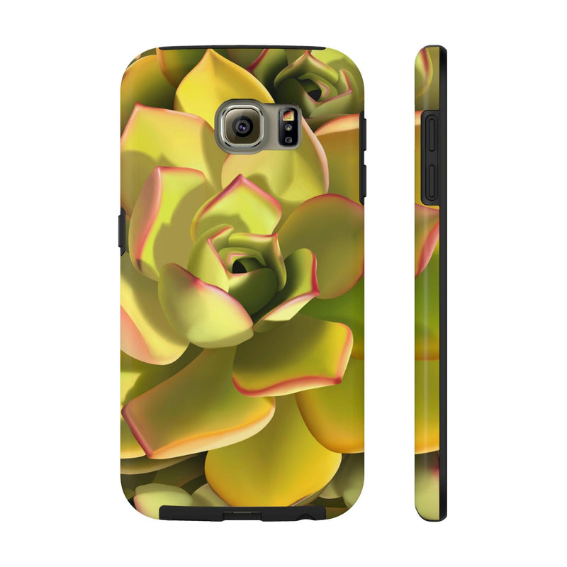 Noble Aeonium Succulent Phone Case, Phone Case, Printify, Accessories, Glossy, iPhone Cases, Matte, Phone accessory, Phone Cases, Samsung Cases, Laura Christine Photography & Design, laurachristinedesign.com