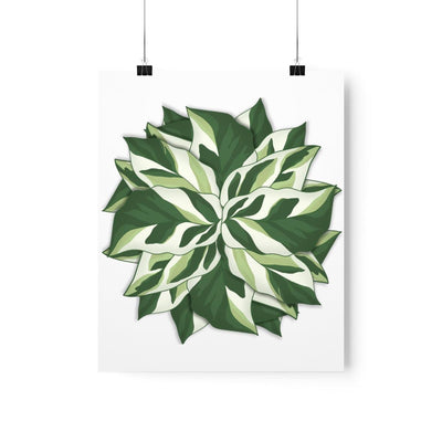 Calathea White Fusion Print, Poster, Laura Christine Photography & Design, Back to School, Bottle, Calathea, Canvas Bag, Coffee, Drinkware, Home & Living, Indoor, Matte, Paper, Posters, Prayer Plant, Reusable, Shopping Bag, Tea, Tote Bag, Travel, Tumbler, Valentine's Day promotion, Water, White Fusion, Laura Christine Photography & Design, laurachristinedesign.com