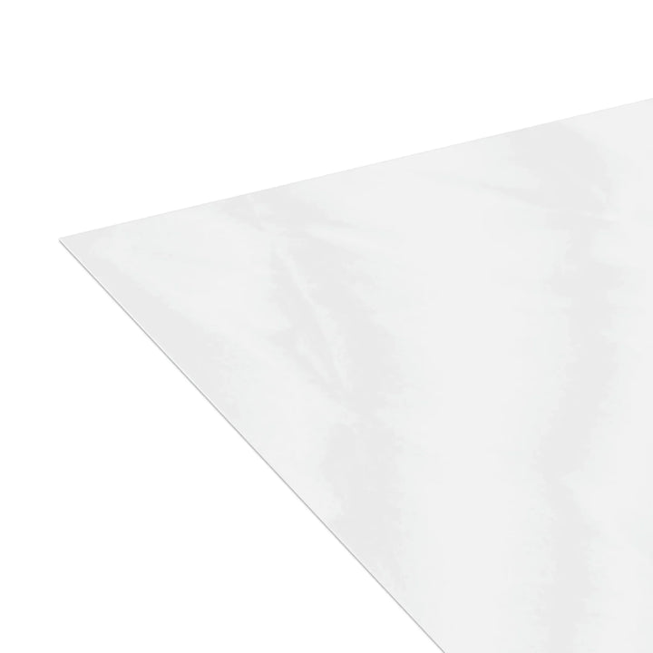 Succulent Greeting Card – Echeveria Violet Queen Botanical Art With Matte Finish