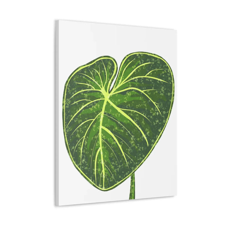 Philodendron Gloriosum Canvas - Stretched Canvas Art Print | Matte Indoor Wall Art - Laura Christine Photography & Design