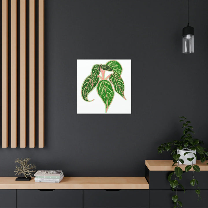Aglaonema Plant Canvas | Sparkling Plant Artwork - Colorfast Canvas Art Print Decor