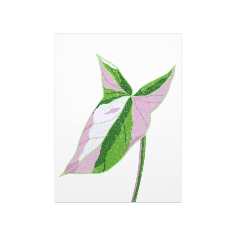 Syngonium Tricolor Print, Poster, Laura Christine Photography & Design, Back to School, Home & Living, Indoor, Matte, Paper, Posters, Valentine&