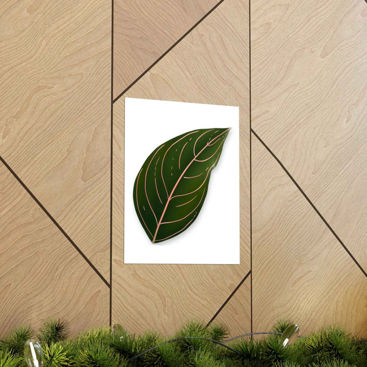 POS Aglaonema Rotundum Print