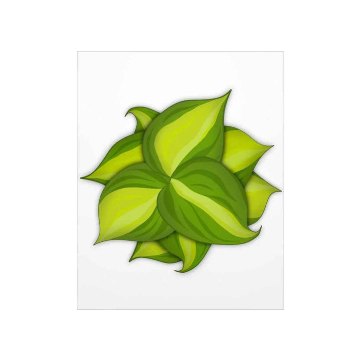 Philodendron Brasil Print – Botanical Wall Art on Museum Grade Paper Poster Unframed