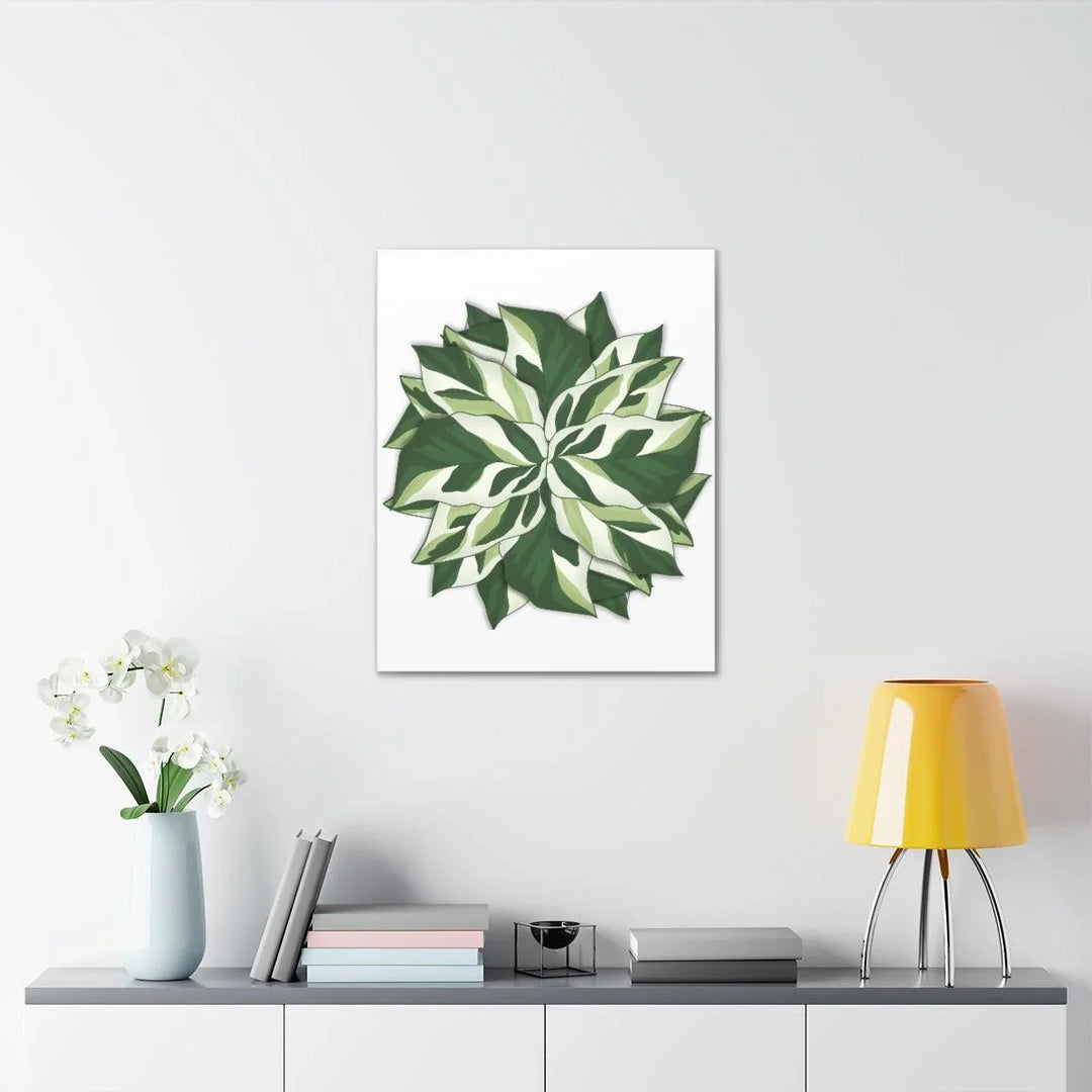 Calathea White Fusion Canvas | Indoor Wall Art - Matte Finish Botanical Canvas Art Print - Laura Christine Photography & Design