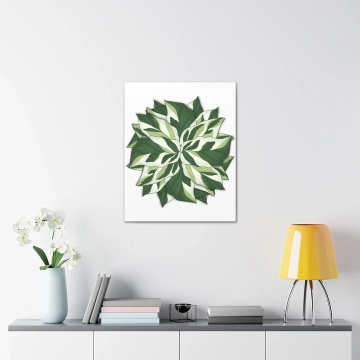 Calathea White Fusion Canvas | Indoor Wall Art - Matte Finish Botanical Canvas Art Print - Laura Christine Photography & Design