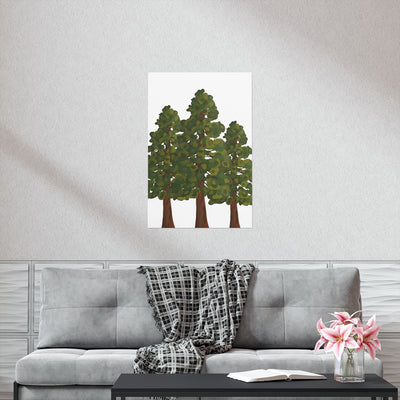 Coastal Redwoods Print