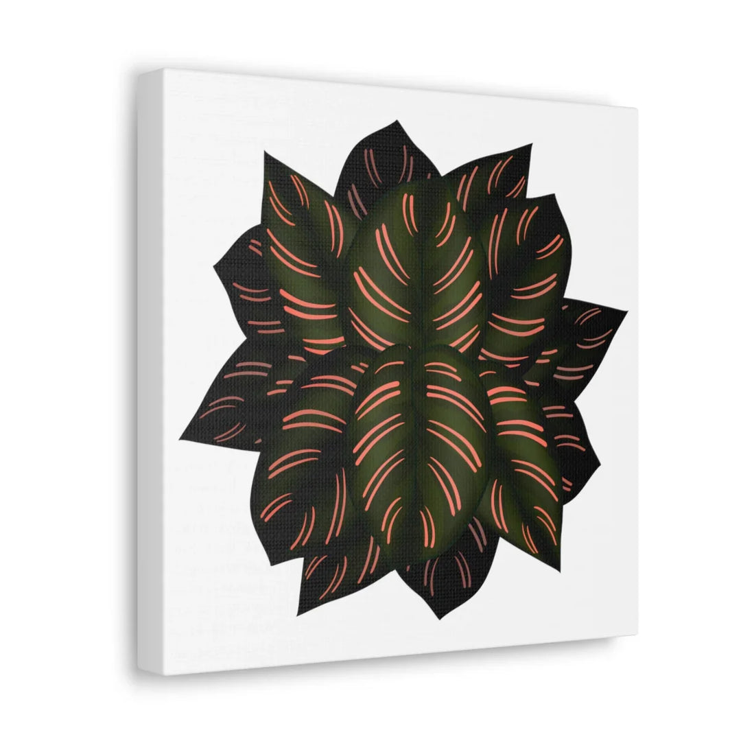 Calathea Pinstripe Canvas – Botanical Canvas Art Print | Matte Finish Wall Decor