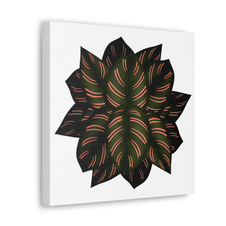 Calathea Pinstripe Canvas – Botanical Canvas Art Print | Matte Finish Wall Decor