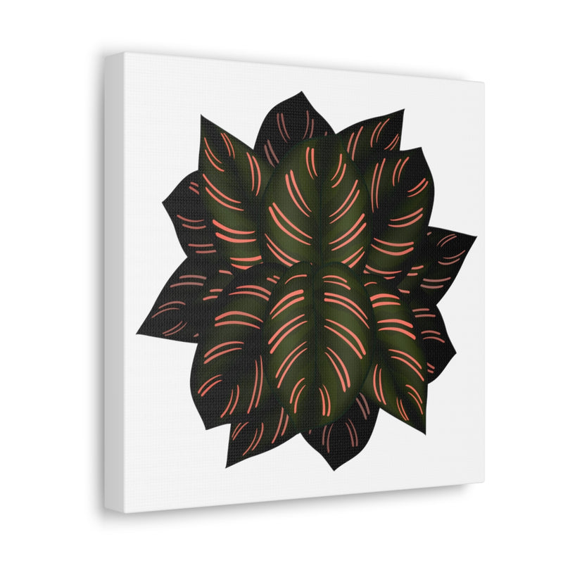 Calathea Pinstripe Canvas