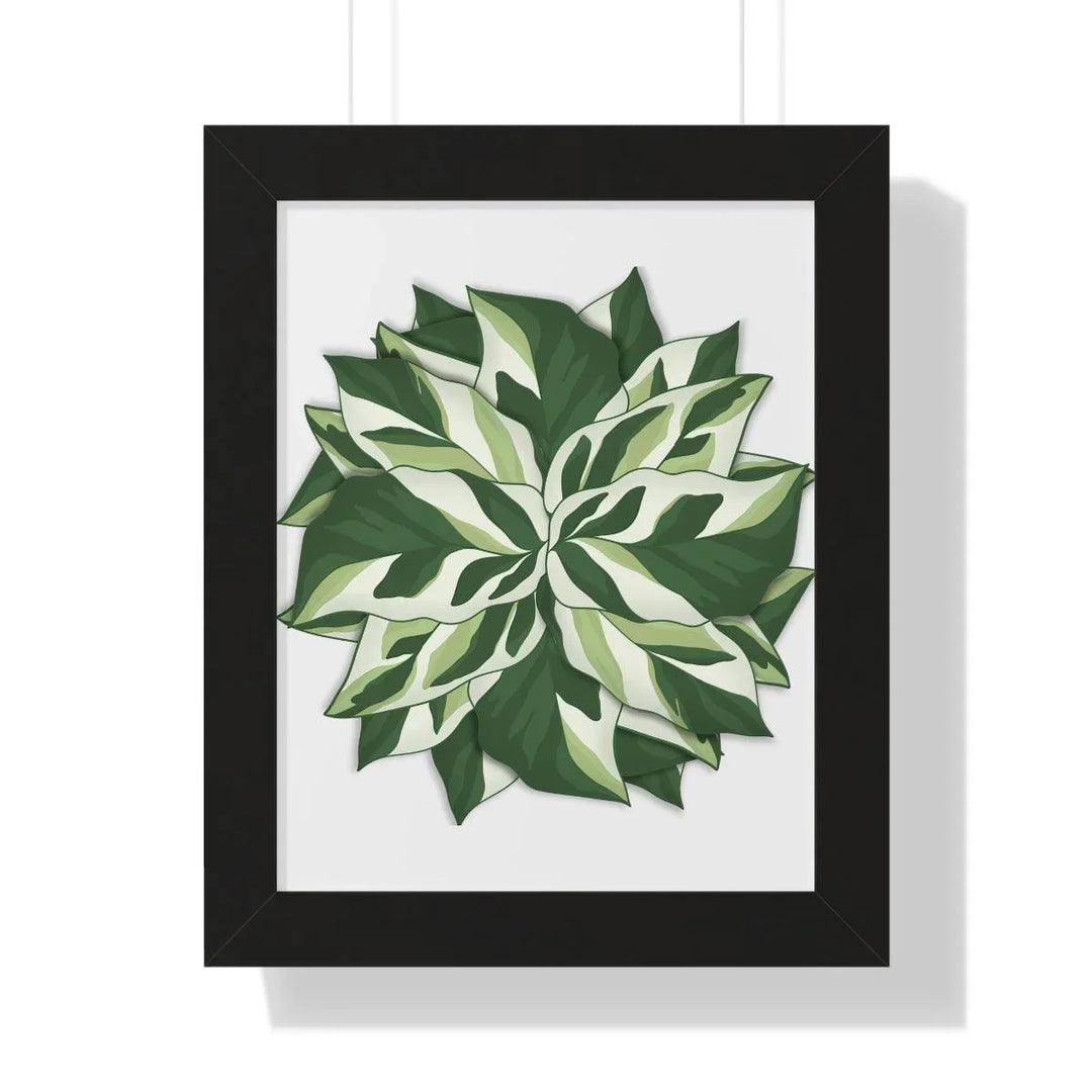 Calathea White Fusion Framed Print, Poster, Laura Christine Photography & Design, Bottle, Calathea, Canvas Bag, Coffee, Drinkware, Framed, Home & Living, Indoor, Paper, Posters, Prayer Plant, Reusable, Shopping Bag, Tea, Tote Bag, Travel, Tumbler, Water, White Fusion, Laura Christine Photography & Design, laurachristinedesign.com